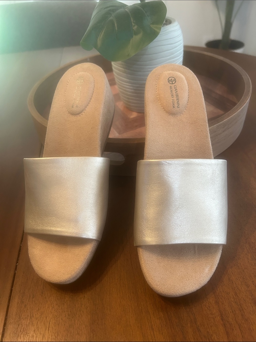 NWOT!  Giani Bernini Memory Foam Slipons